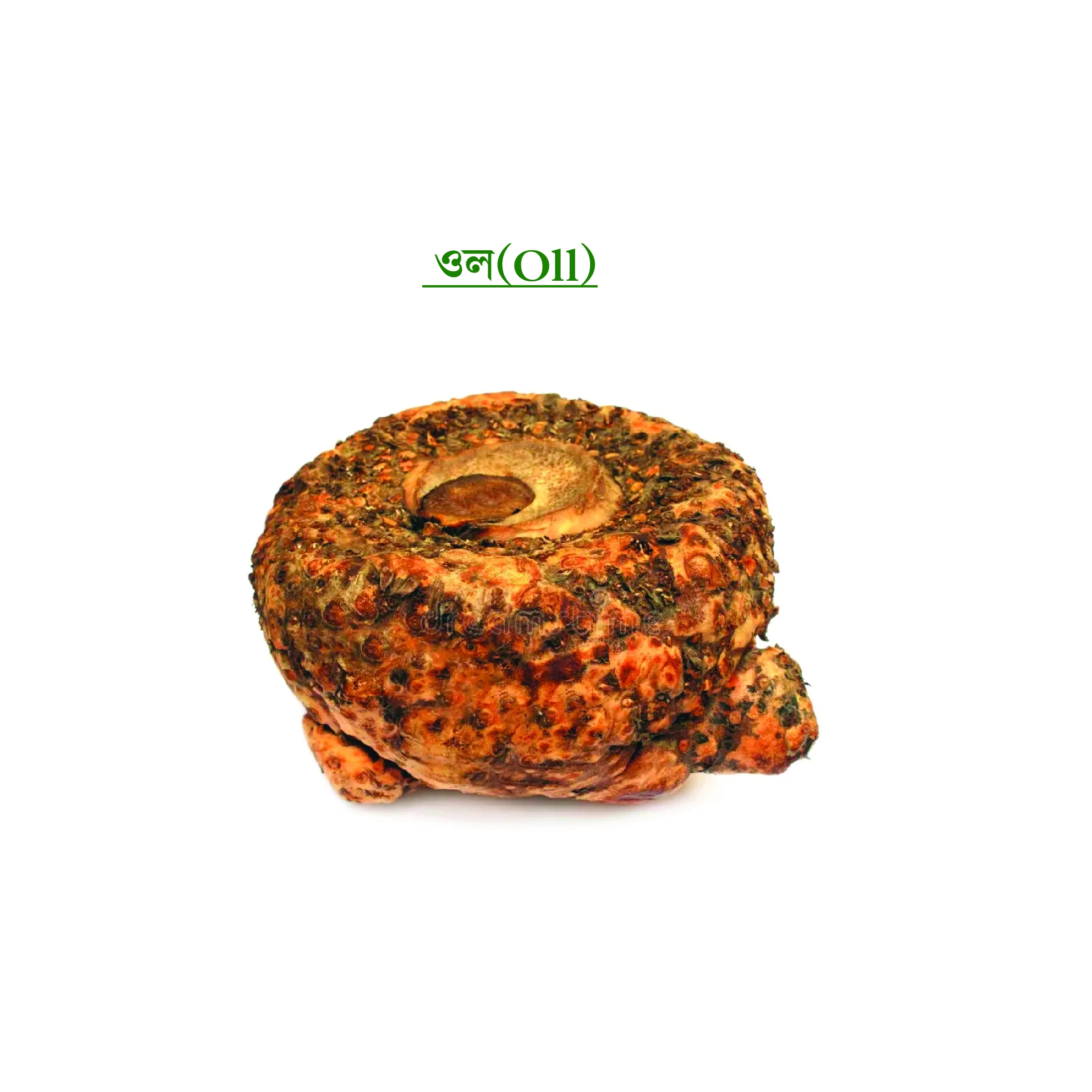 ওল (Oll)