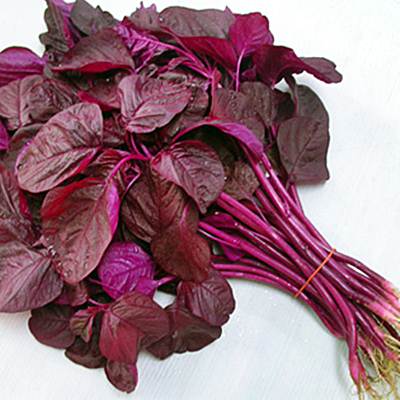 লাল নটে শাক (Red Spinach)