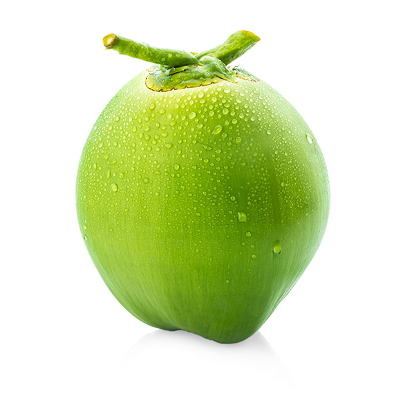 Coconut Water