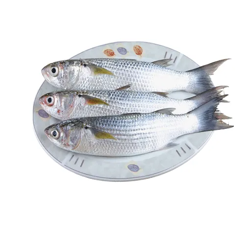 Mordai Fresh Parsa Fish
