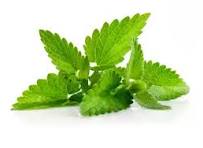 পুদিনা পাতা (Pudina pata)