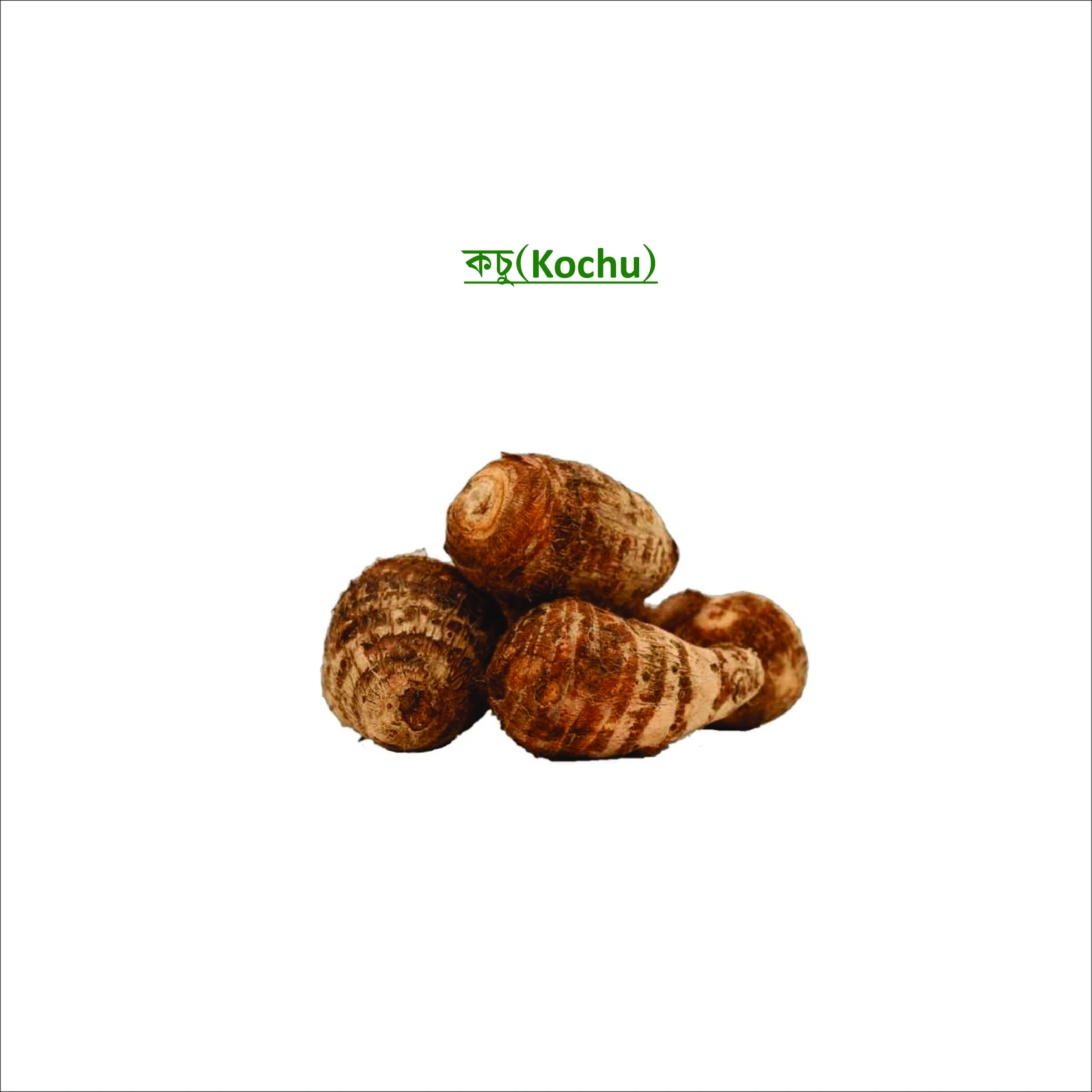 কচু (Kochu)