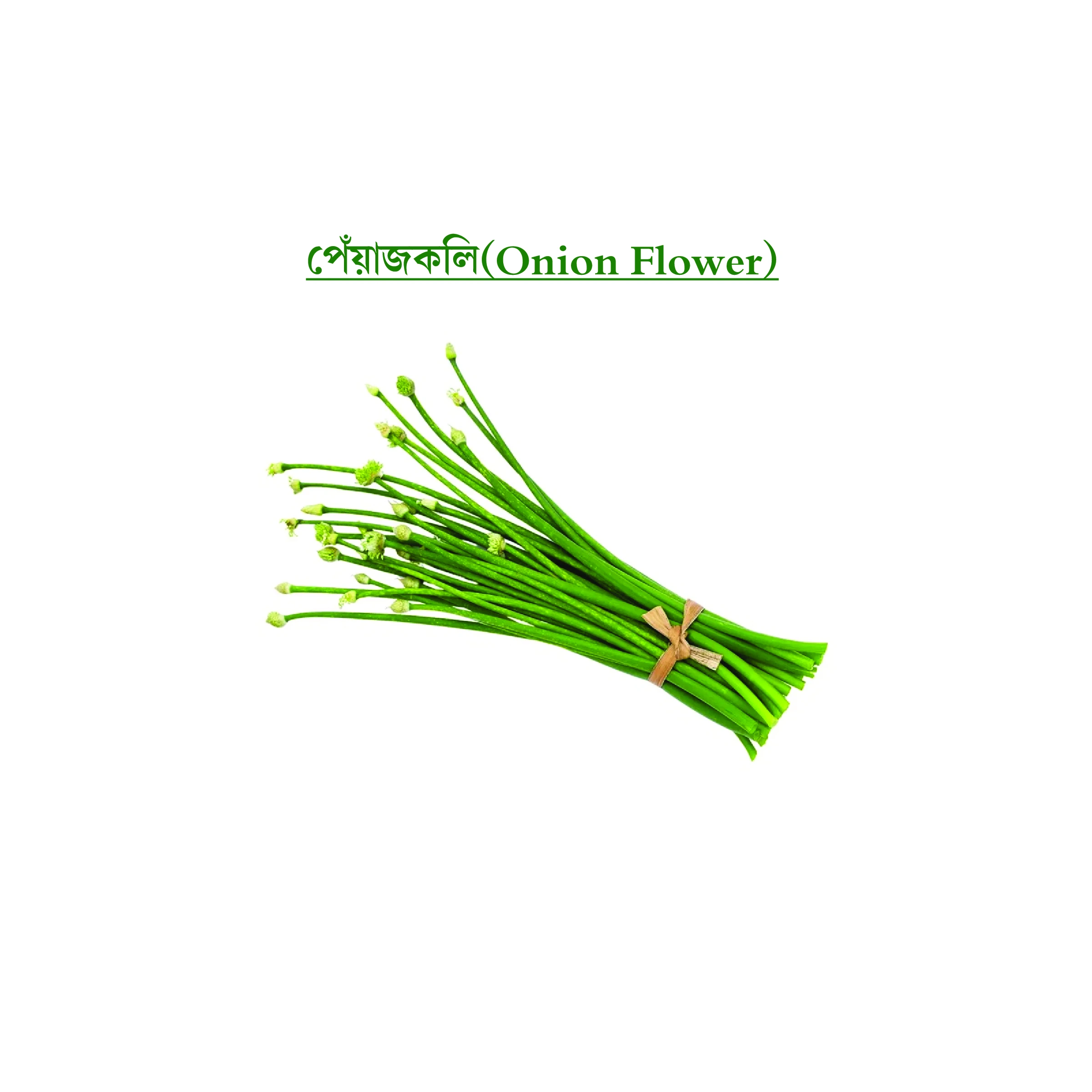 পেঁয়াজকলি (Onion Flower)